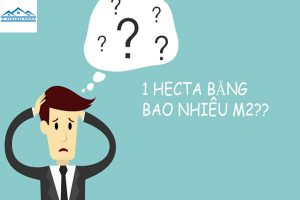 1 ha bằng bao nhiêu m2. Các công thức tính nhanh và đơn giản