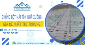 Bảng giá chống dột mái tôn nhà xưởng tại Đồng Nai -【2025】